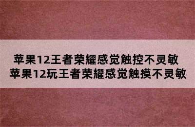 苹果12王者荣耀感觉触控不灵敏 苹果12玩王者荣耀感觉触摸不灵敏